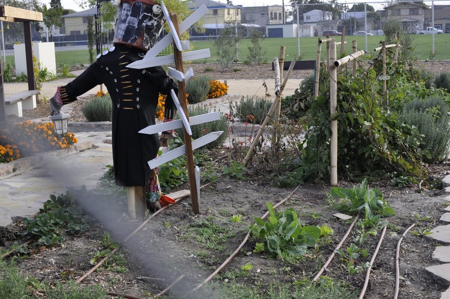 garden
